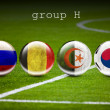 Group_H